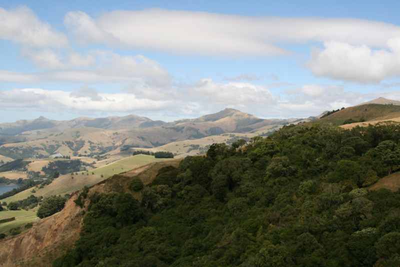 Nieuw-Zeeland 2011 - 2134